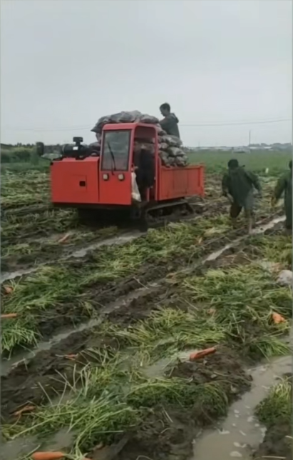 履帶式運輸車：征服復雜地形的全能戰(zhàn)士】